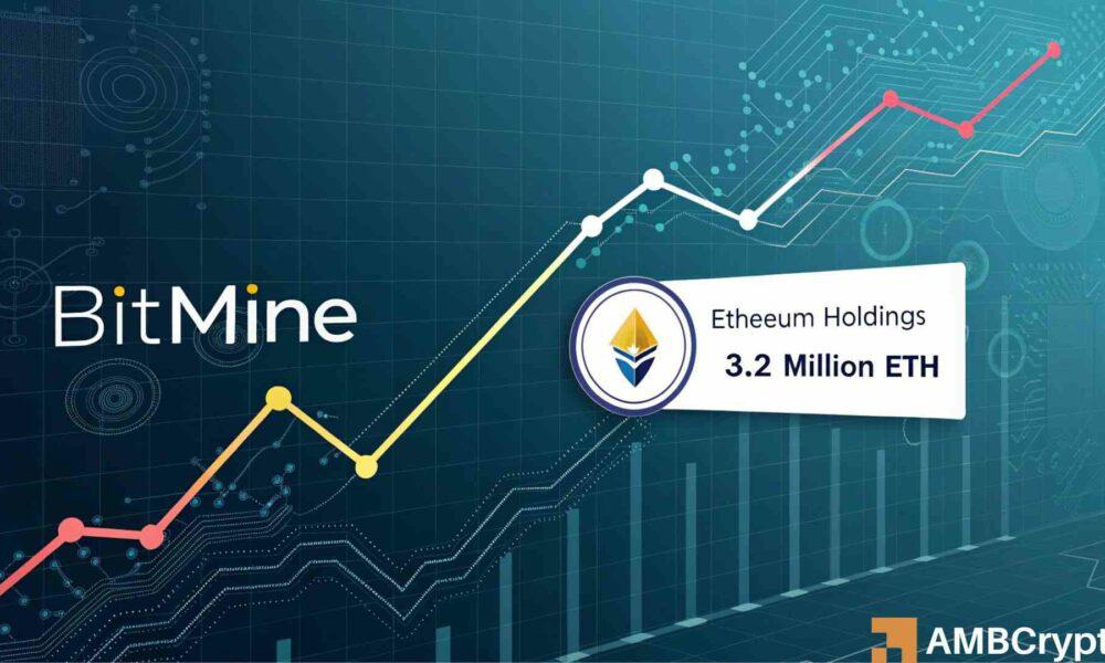 Tom Lee 的 BitMine 获得 2.5 亿美元以太坊:“展望未来……”