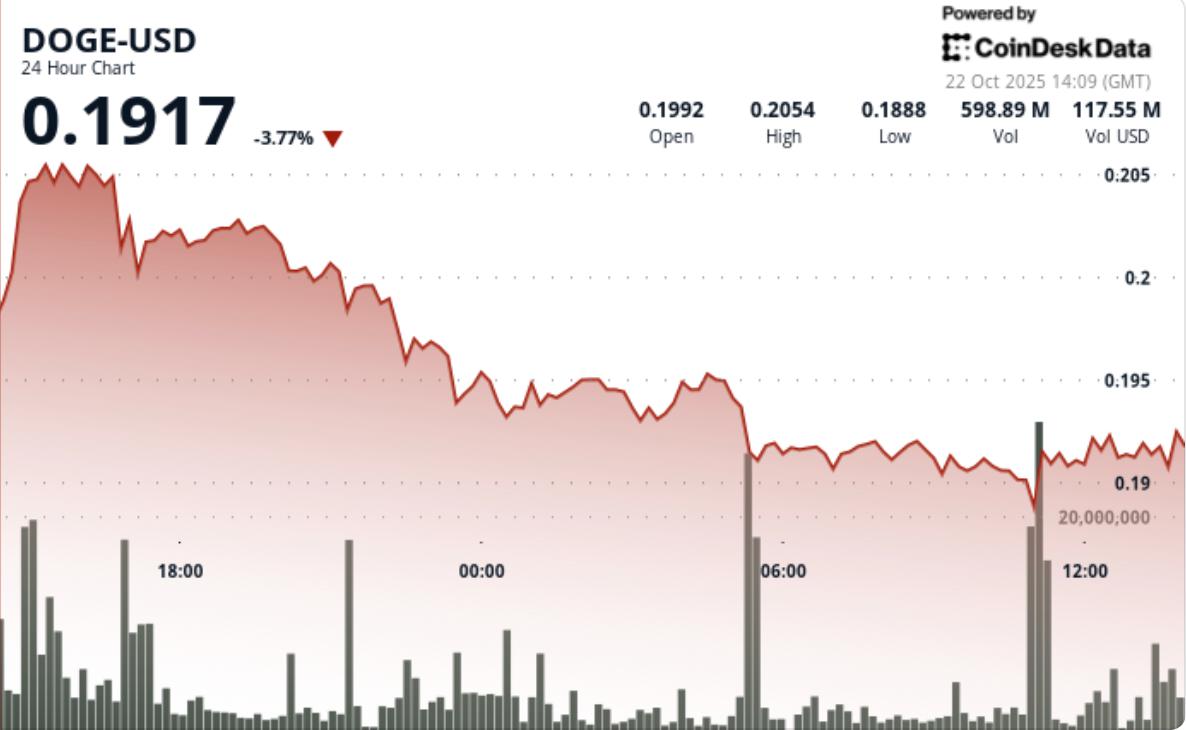 狗狗币测试0.19美元支撑位,下降通道信号暗示突破可能性